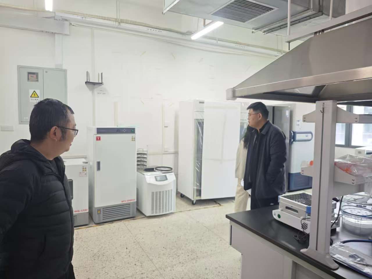 威廉希尔足球网