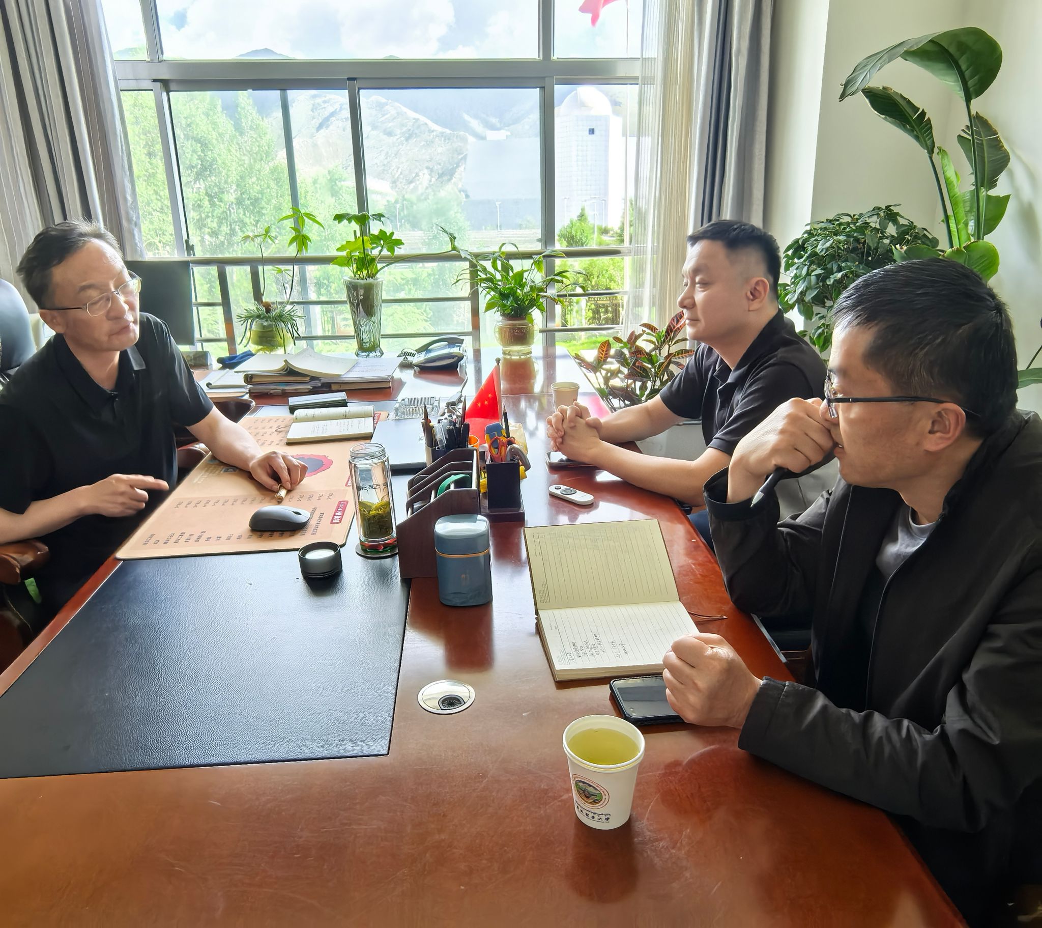 威廉希尔足球网