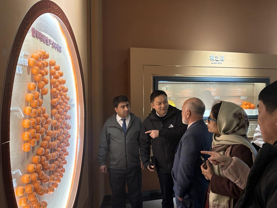 威廉希尔足球网