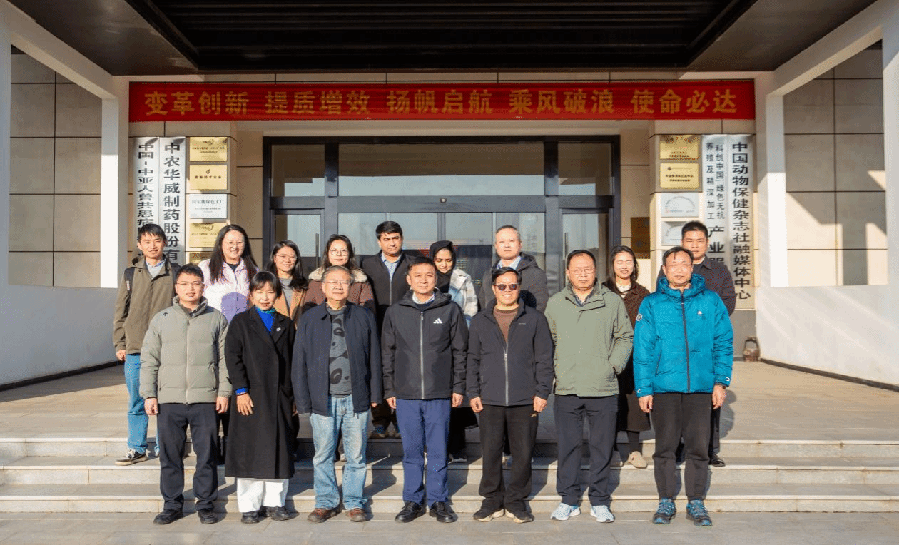 威廉希尔足球网